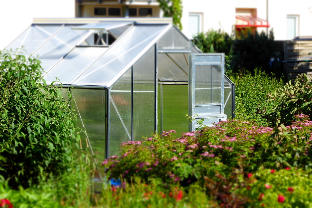 serre, jardin, maison de verre