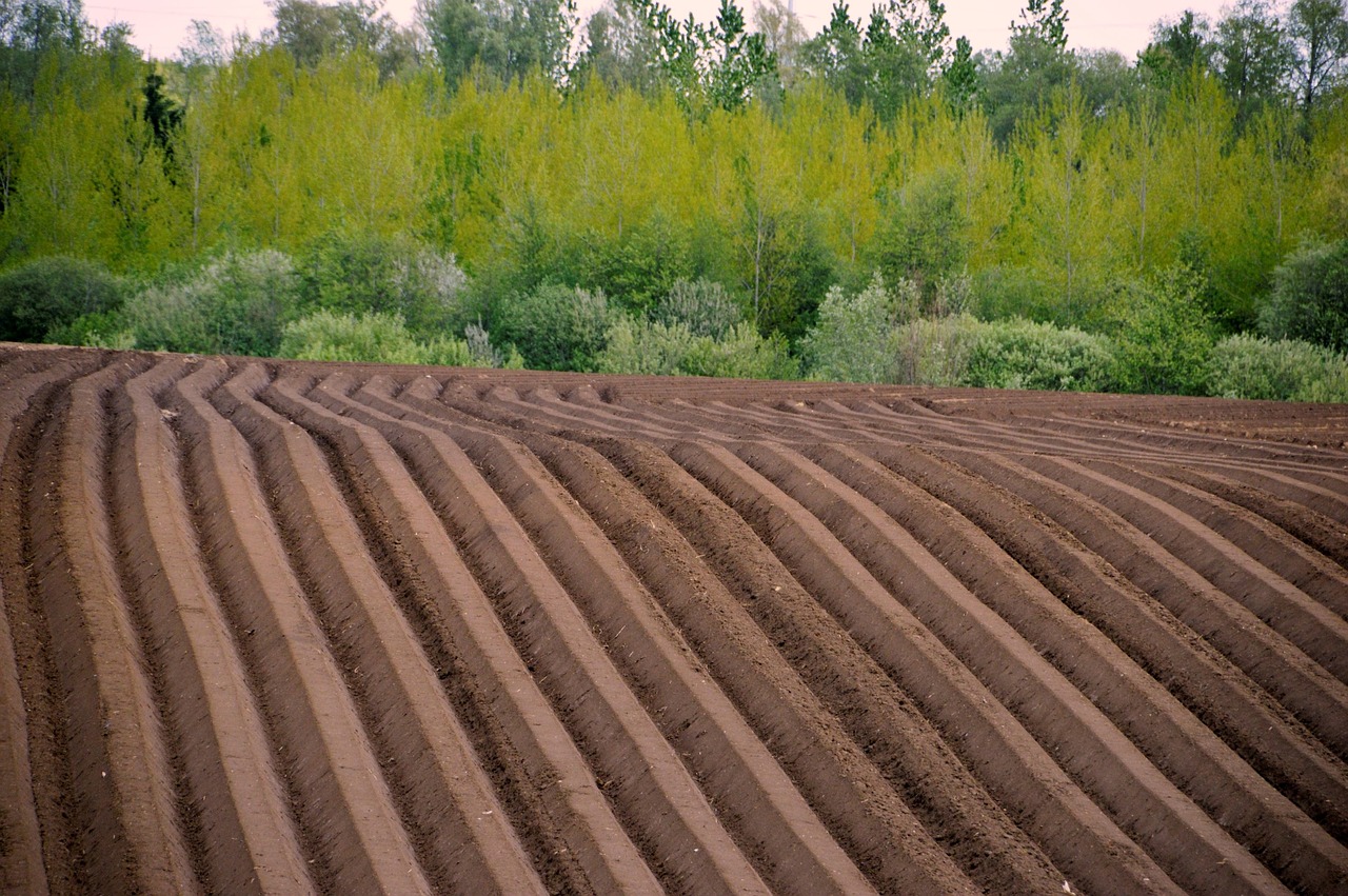 fabriquer une motteuse