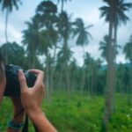 découvrez l'univers captivant des artistes paysagistes, où la nature rencontre la créativité. explorez leurs œuvres inspirantes qui capturent la beauté des paysages à travers différentes techniques et styles. laissez-vous emporter par leur vision unique de la terre et de l'environnement.