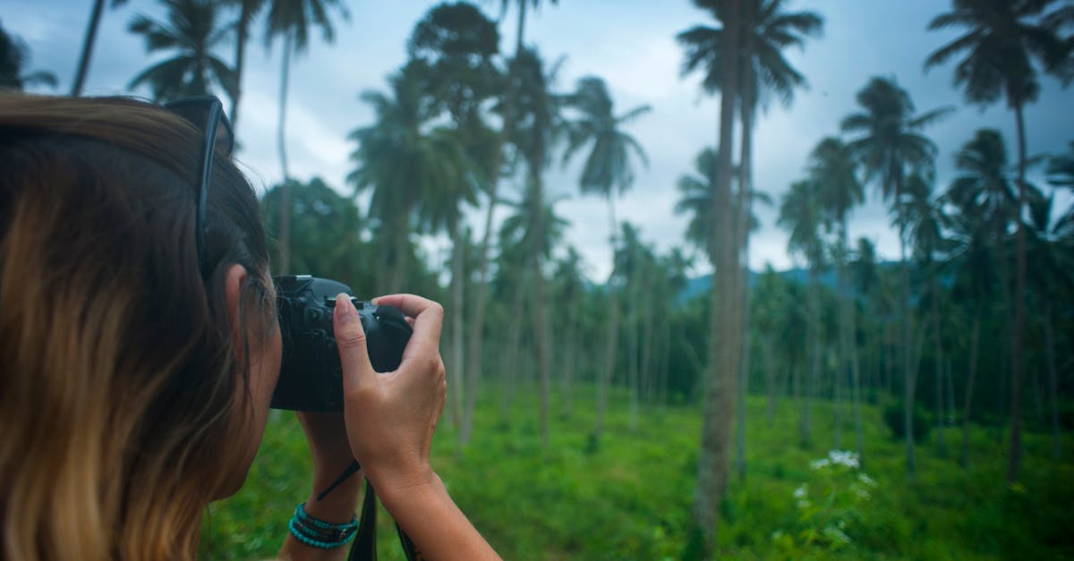 découvrez l'univers captivant des artistes paysagistes, où la nature rencontre la créativité. explorez leurs œuvres inspirantes qui capturent la beauté des paysages à travers différentes techniques et styles. laissez-vous emporter par leur vision unique de la terre et de l'environnement.