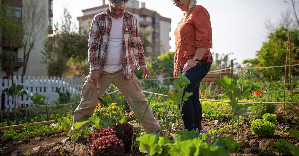 découvrez les bienfaits du jardinage biologique, une méthode respectueuse de l'environnement qui vous permet de cultiver des plantes saines et savoureuses sans pesticides ni produits chimiques. apprenez des techniques écologiques pour entretenir votre jardin tout en préservant la biodiversité.