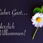 découvrez les articles invités sponsorisés, une stratégie efficace pour renforcer votre présence en ligne. boostez votre visibilité, atteignez de nouveaux publics et établissez des partenariats stratégiques grâce à des contenus de qualité.