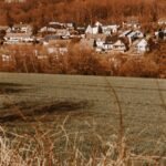 Découverte terre gasconne et campagne gersoise : immersion au cœur d’un terroir authentique