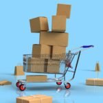 L'Ère du Clic : Guide Complet et Stratégies pour Maîtriser le Shopping en Ligne