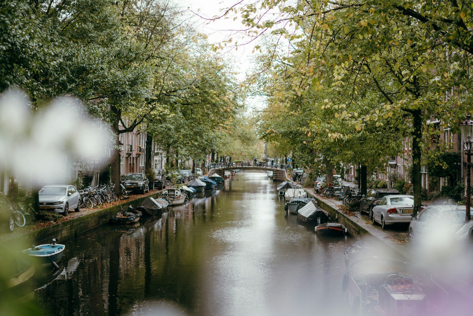 Le Blog Personnel : Transformer l'Océan d'Information en Conversation Amicale