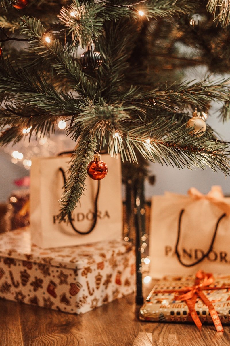 Bracelets et bijoux Pandora : l’élégance personnalisable au cœur de la joaillerie moderne